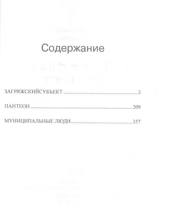 Книга Загряжский субъект (Василий Воронов) — 2