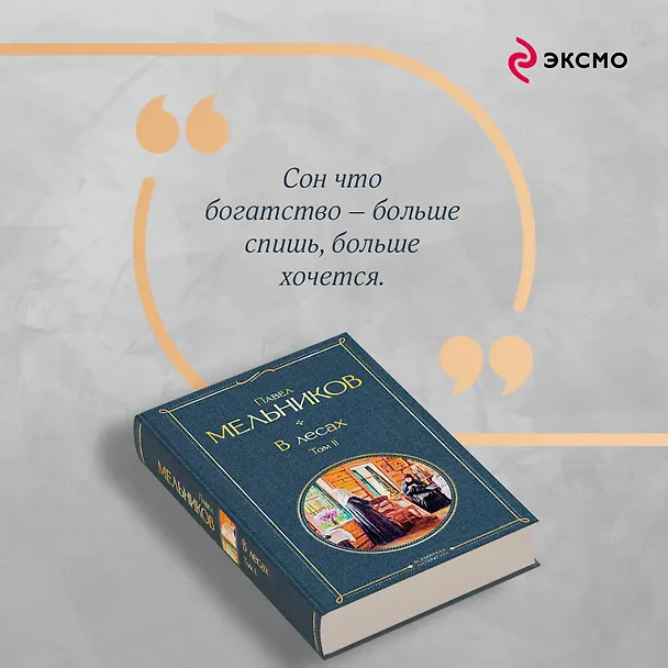 Книга В лесах. Том II (Павел Мельников) — 10