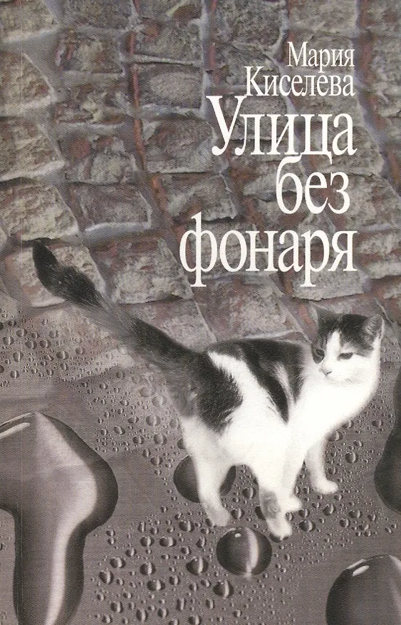 Книга Улица без фонаря (Мария Киселева) — 1