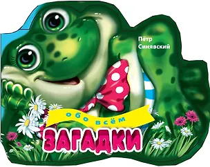 Книга 3+ Загадки обо всем (Пётр Синявский)