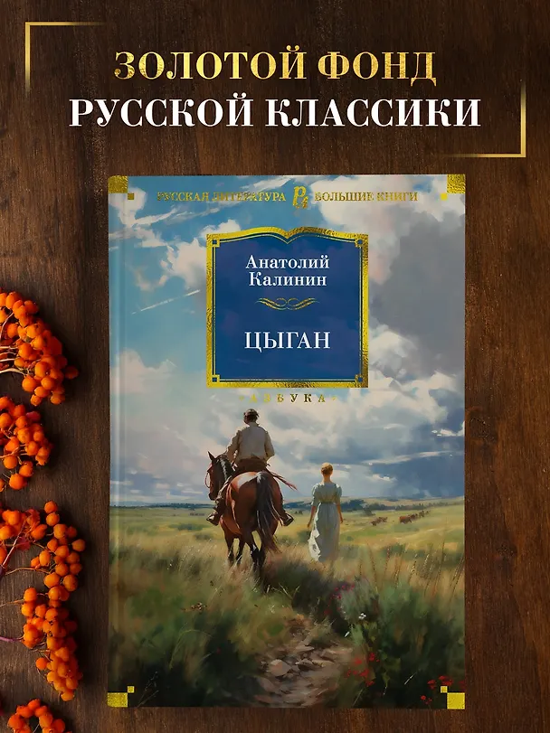 Книга Цыган (Анатолий Калинин) — 4