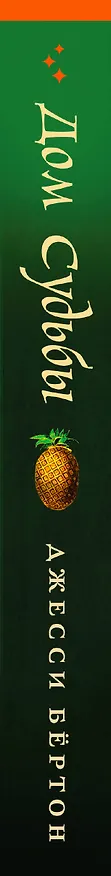 Книга Дом Судьбы (Джесси Бёртон) — 3