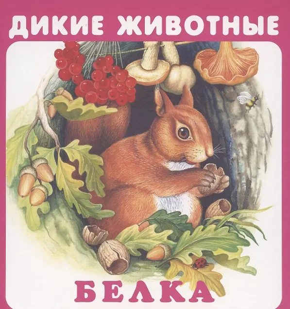 Книга Дикие животные () — 2