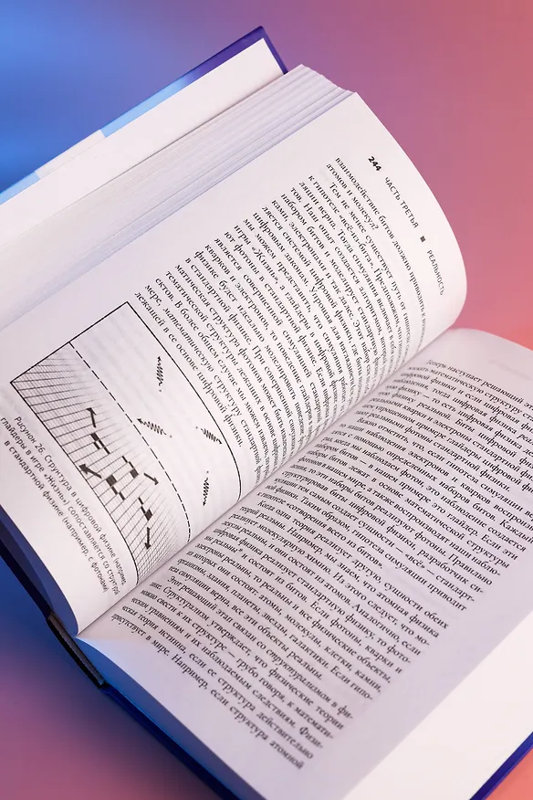 Книга Реальность+. Виртуальные миры и проблемы философии (Дэвид Дж. Чалмерс) — 10