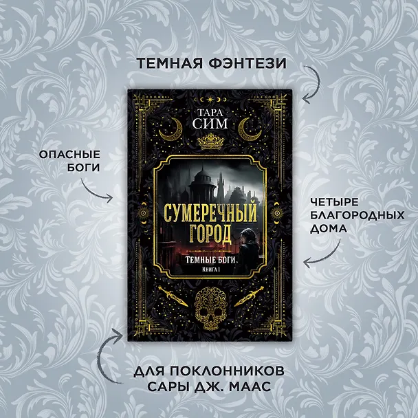 Книга Темные боги. Книга 1. Сумеречный город (Тара Сим) — 3