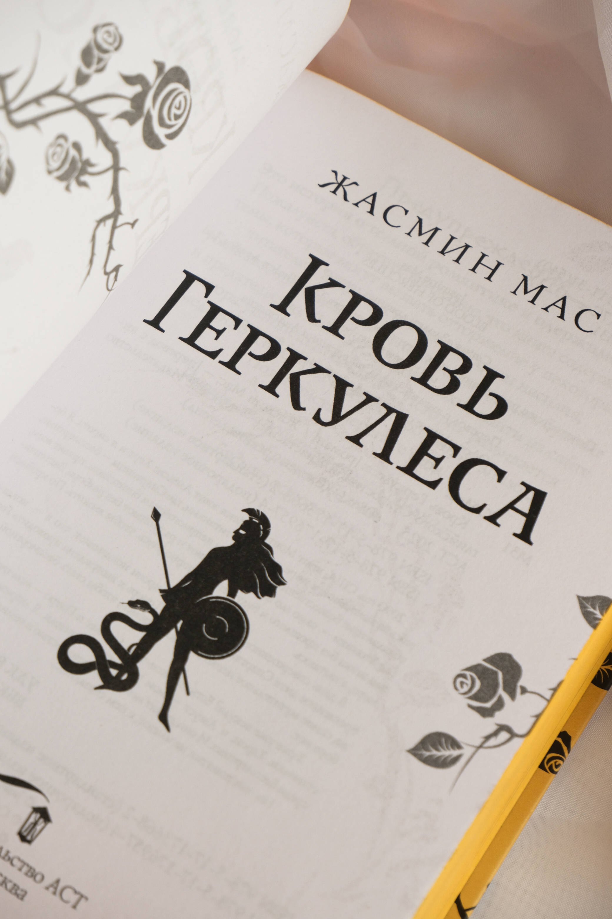 Изображение бумажной книги