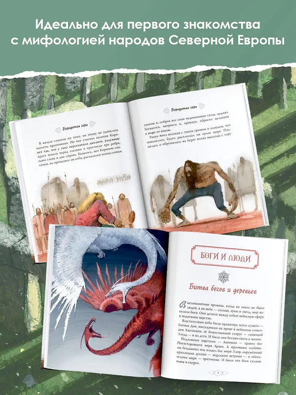 Книга Сказки и мифы Северной Европы (Леонид Яхнин) — 5