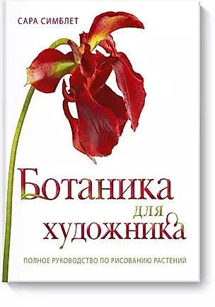 Ботаника для художника. Полное руководство по рисованию растений — 2618270 — 1