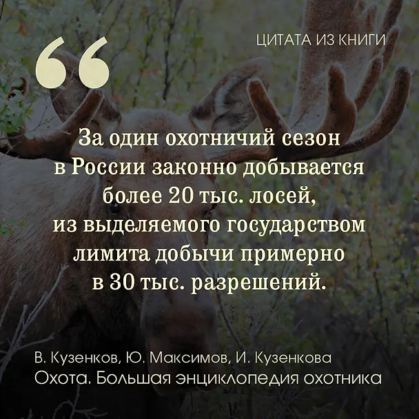 Книга Охота. Большая энциклопедия. 17 диких зверей (Юрий Максимов, Ираида Кузенкова, Валерий Кузенков) — 5