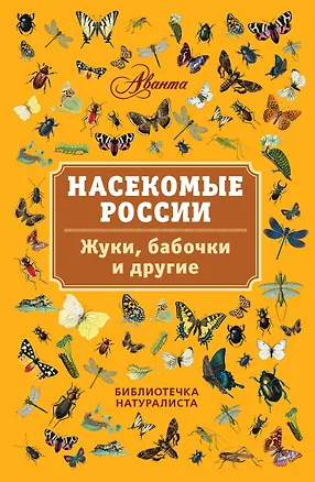 Книга Насекомые России. Жуки, бабочки и другие (Владимир Горбатовский)
