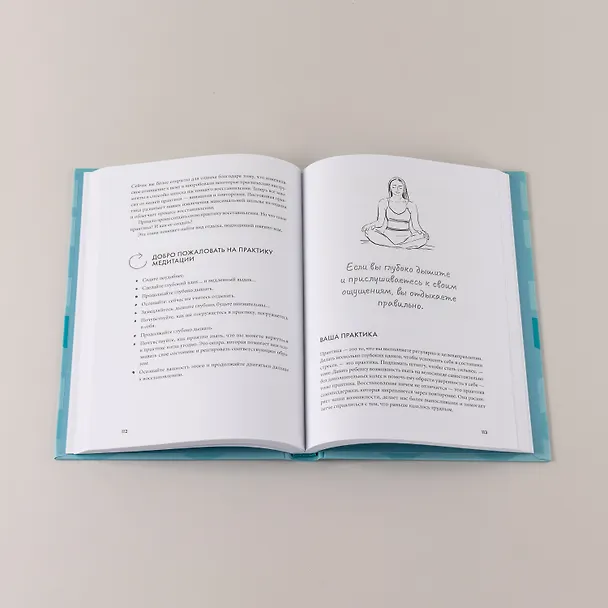 Книга Научись отдыхать: Как восстанавливаться после физических и интеллектуальных нагрузок (Эрин Тейлор) — 9