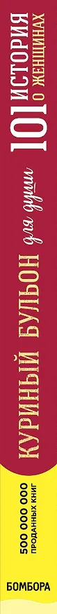 Книга Куриный бульон для души. 101 история о женщинах (Джек Кэнфилд) — 3