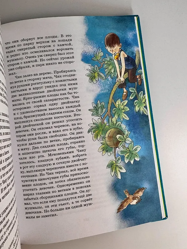 Книга Детство Чика (Фазиль Искандер) — 8