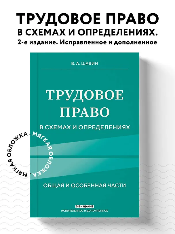 Книга Трудовое право в схемах и определениях. 2-е издание. Исправленное и дополненное (Василий Шавин) — 5