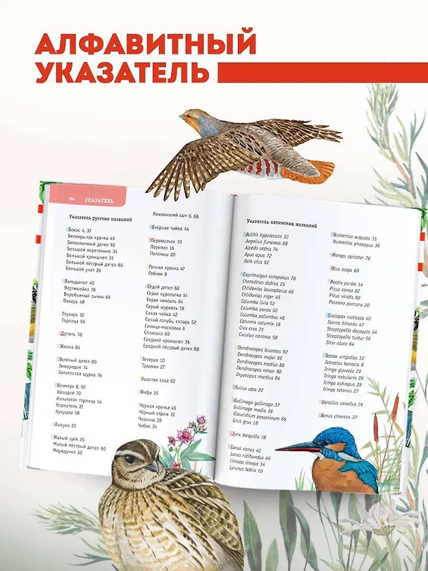 Книга Непевчие птицы. Средняя полоса европейской части России. Определитель с голосами птиц (Евгений Коблик) — 8