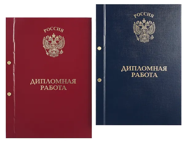 Обложка "Дипломный проект" ассорти, 2 отверстия, бумвинил 3101356 — 1