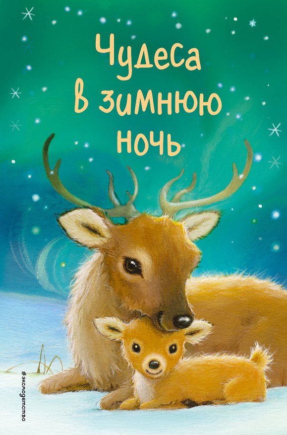 Книга Чудеса в зимнюю ночь (выпуск 2) (Майкл Брод, Холли Вебб, Джулия Грин) — 1