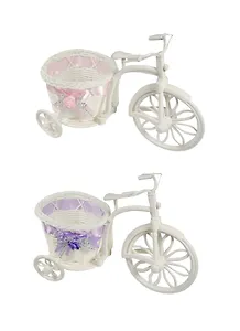 Кашпо Велосипед (25х17) (пКТ Ластик)