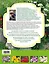 Лекарственные растения в вашем саду.Большая иллюстрированная энциклопедия. — 2309891 — 2