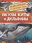Акулы, киты и дельфины. Энциклопедия для детского сада — 2960493 — 1