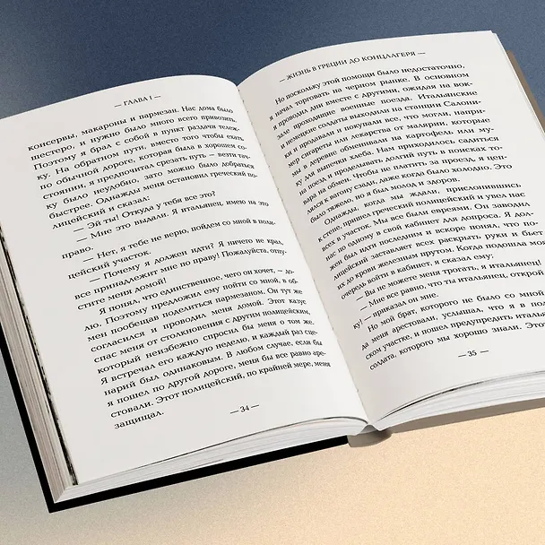 Книга Внутри газовых камер. Подлинный рассказ работника крематория Освенцима (Шломо Венеция) — 9