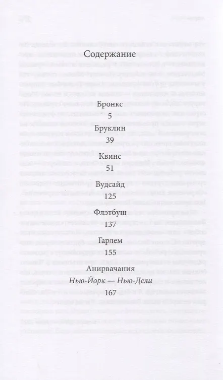 Книга Нью-Йоркский обход (Александр Стесин) — 2
