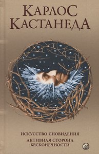 Искусство сновидения. Активная сторона бесконечности
