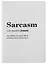 Обложка для паспорта Sarcasm (словарь) (ПВХ бокс) — 2923633 — 1