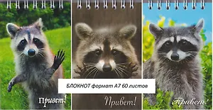 Блокнот А7 60 листов "Привет! Еноты"