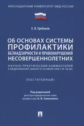 Научно-практический комментарий к ФЗ от 24 июня 1999 г. № 120-ФЗ «Об основах системы профилактики безнадзорности и правонарушений несовершеннолетних» (постатейный) — 2837876 — 1