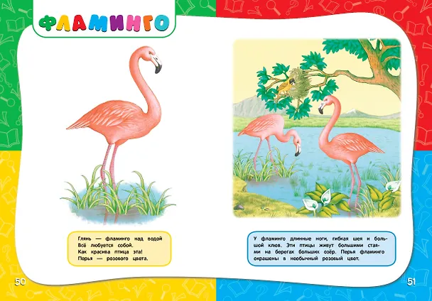 Книга Годовой курс занятий: для детей 1-2 лет (Анастасия Далидович) — 11