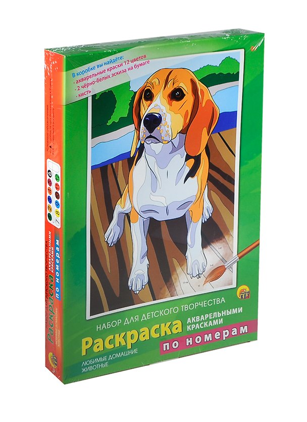 Набор Раскр. по номерам Любимые дом. животные (Р-3864) (краски 12цв.) (+2эскиза) (+кисть) (Рыжий кот) 2416303 — 1