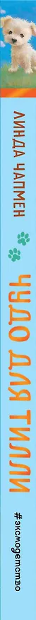 Книга Чудо для Тилли (выпуск 1) (Линда Чапмен) — 4