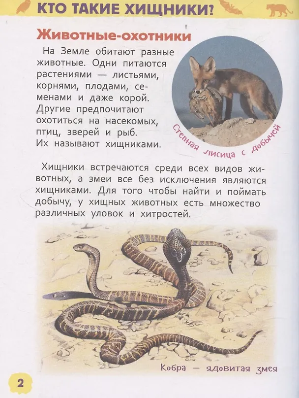 Книга Дикие животные (Энциклопедия для детского сада) (Владимир Бабенко) — 3