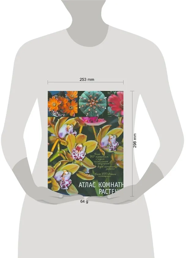 Книга Атлас комнатных растений (Виктор Гапон) — 2