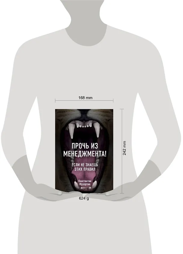 Книга Прочь из менеджмента! Если не знаешь этих правил (Константин Мухортин) — 4