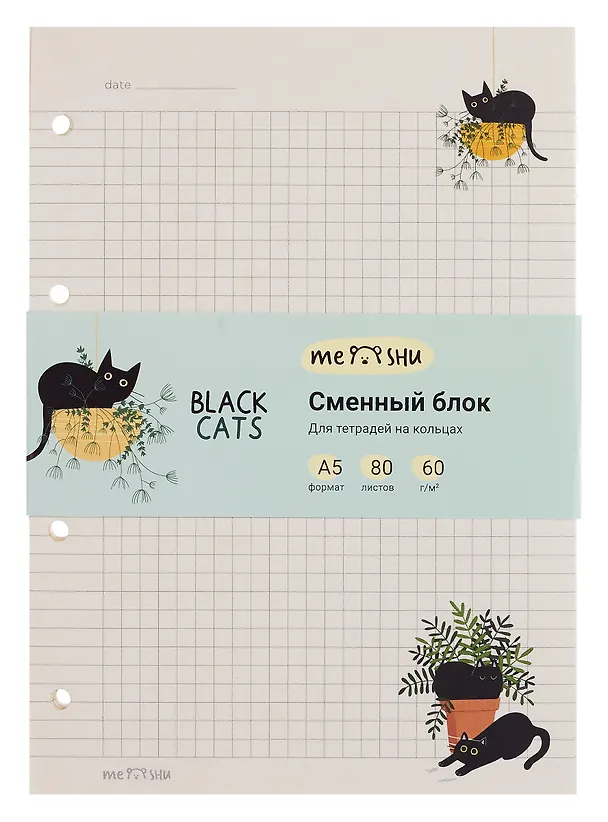 Сменный блок для тетрадей «Black Cats» 80 листов в клетку, А5, MESHU 3107239 — 2