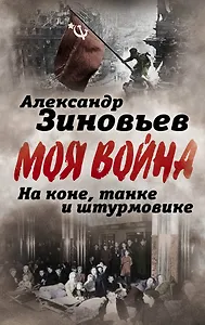 На коне, танке и штурмовике. Записки воина-философа