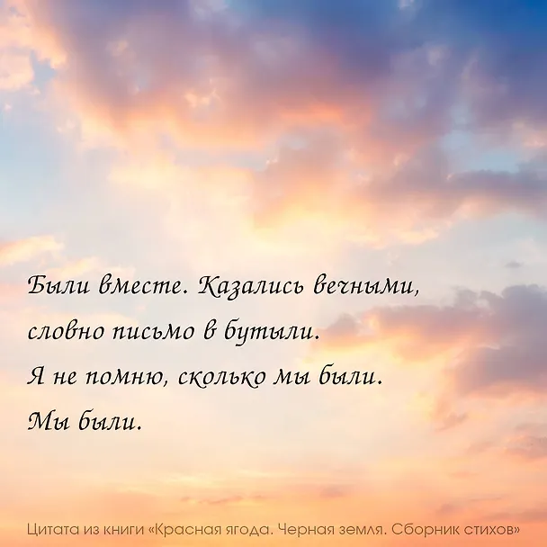 Книга Красная ягода. Черная земля. Сборник стихов (Анна Долгарева) — 6