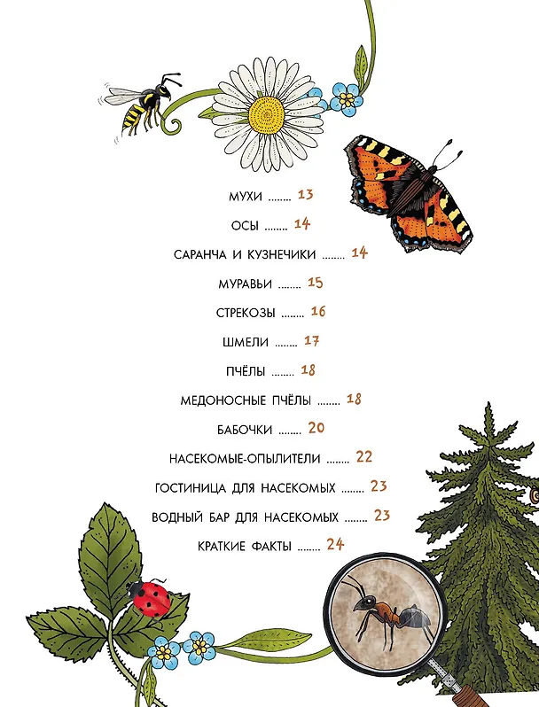Книга Насекомые (Эмма Янссон) — 10