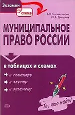 Книга Муниципальное право России в таблицах и схемах (Анастасия Головистикова)