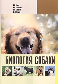Биология собаки (м) Кочиш