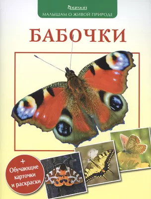 Бабочки (+обуч.карточки и раскраски) — 2487251 — 1