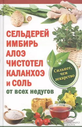 Сельдерей, имбирь, алоэ, чистотел, каланхоэ и соль от всех недугов — 2362891 — 1