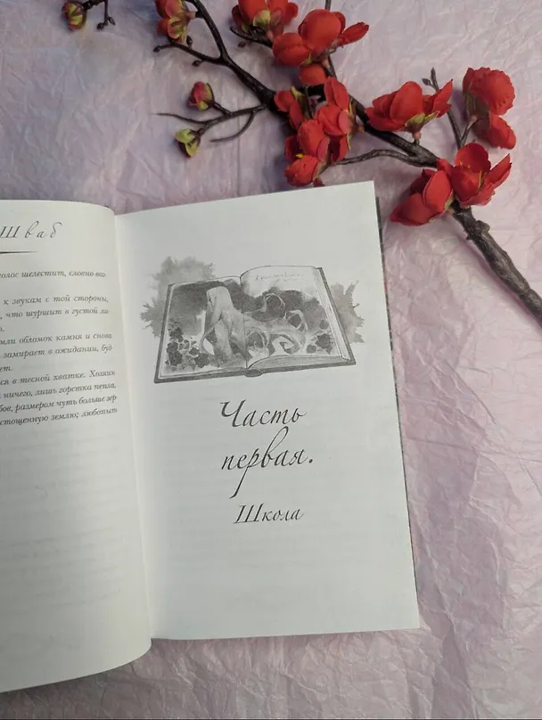 Книга Галлант (Виктория Шваб) — 11