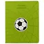 Дневник школьный Феникс+, "Салатовый футбол" — 246765 — 1