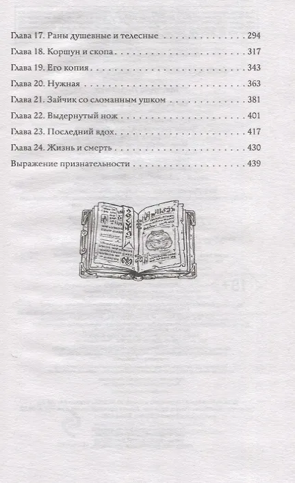 Книга Брусничное Солнце (Лизавета Мягчило) — 11