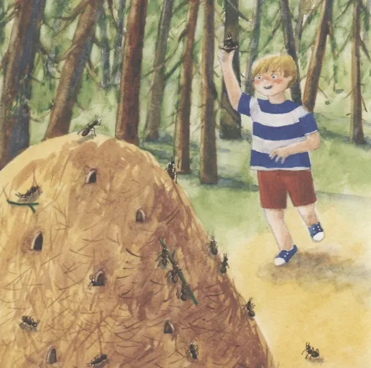 Книга Тимка и улитка (Наталия Волкова) — 6