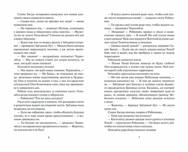 Книга Неистовая буря (Эрин Хантер) — 3