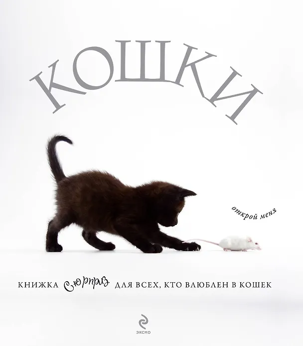 Книга Кошки. Книжка сюрприз для всех, кто влюблен в кошек () — 1